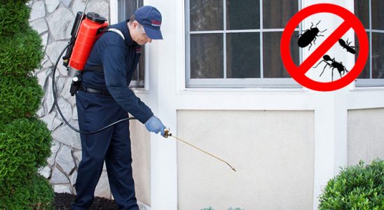 Tuzlukçu Böcek İlaçlama böcek ilaçlama ve haşere kontrolü — ilaclama-tr.com